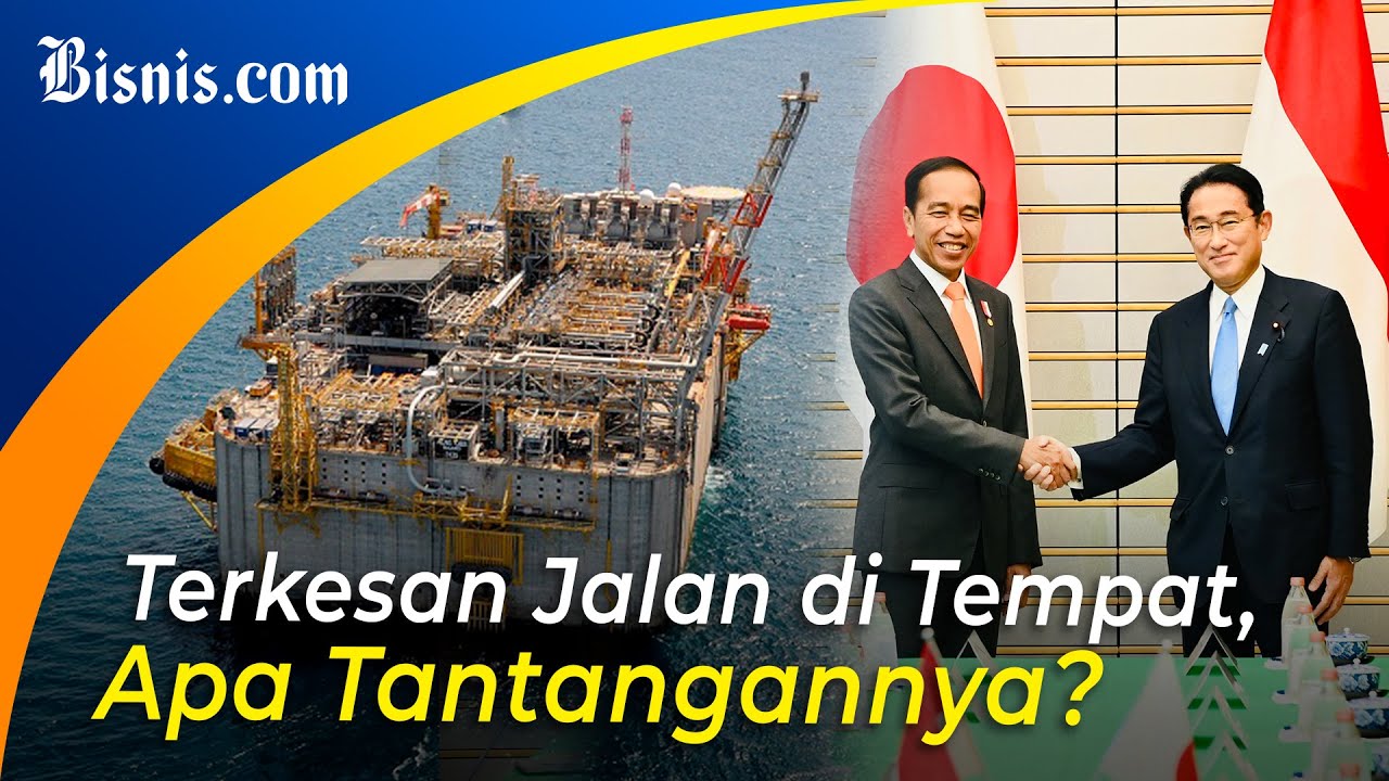 Bertemu PM Jepang, Jokowi Singgung Kelanjutan Proyek Blok Masela