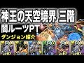 【パズドラ】神王の天空境界 (三階/３階) 闇ルーツPT