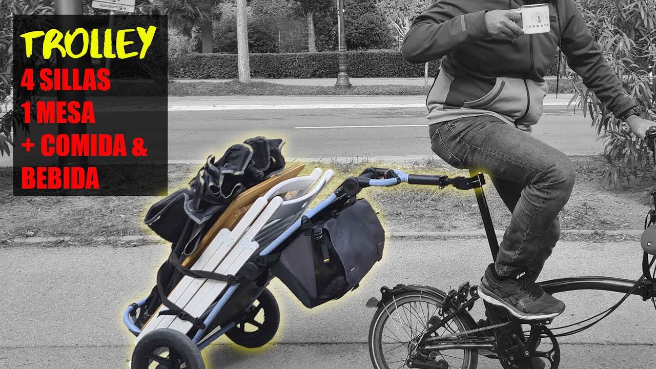 remolque para bicicleta carrito de bici remolques bike trailer triala EL  MEJOR
