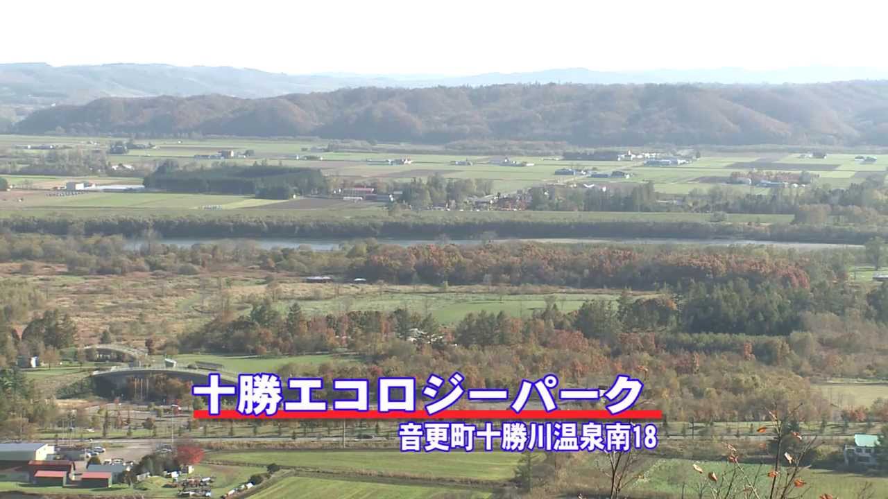 特集音更町 十勝エコロジーパーク Youtube