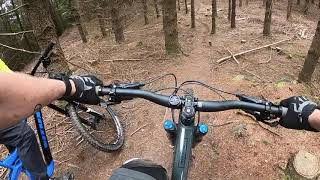 DH runs devils glen