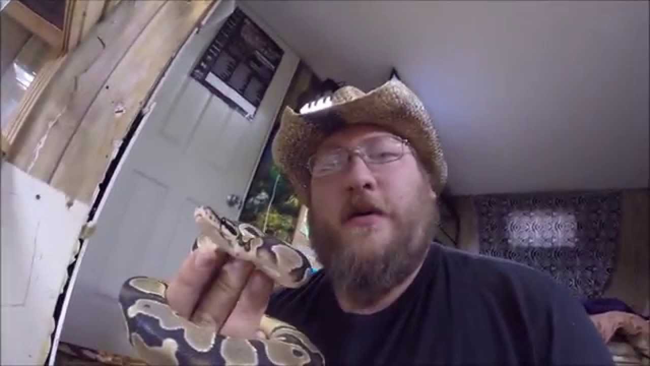 prairie dog food Reptile Room Update November 2015