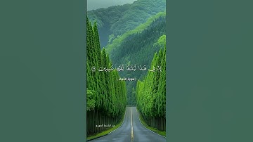 #quran #اكسبلور #تلاوة_خاشعة #لايك #قرآن #دويتو #راحة_نفسية #duet #تيك_توك #حالات_واتس