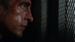 What the Hell Are They Looking For - Last Resort