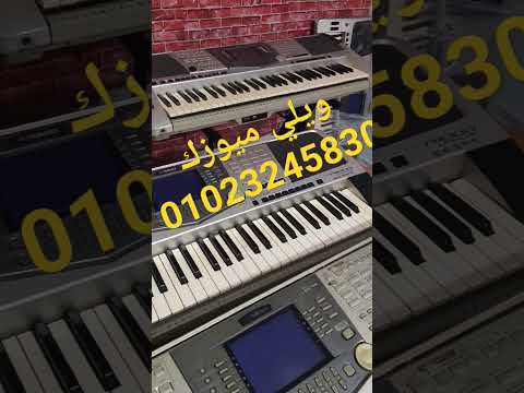  1000 من ويلي ميوزك 01023245830 01229561260