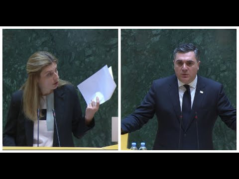 ჩინური პასუხები არ მინდა, ქართულად ამიხსენით! - თეონა აქუბარდია საგარეო საქმეთა მინისტრს