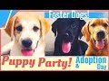 PUPPY Party  |  Adoption Day  |  Foster Dogs Meet Families!