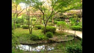 Синтоистский храм Heian Jingu и его сады (Киото, Япония)