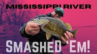 We SMASHED EM’ On Day 1 Of The DICK HILEY BASS CLASSIC!!  (Mississippi River Pools 4 & 5) by SonarFishing 446 views 2 weeks ago 21 minutes