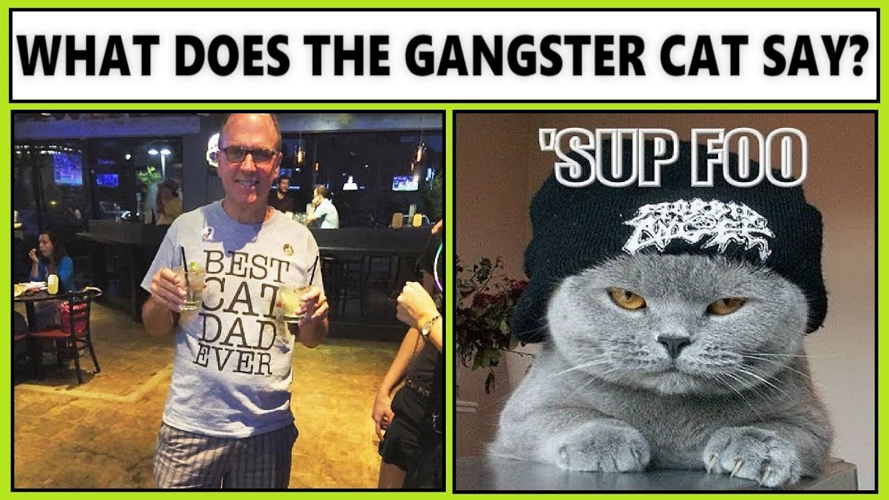 The Most Funny Dad Jokes 