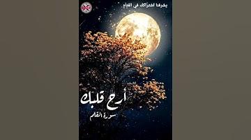 تلاوه هادئه لسورة القلم 🌿