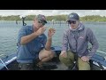 How To Fish The PowerBait Shrimp For Bream