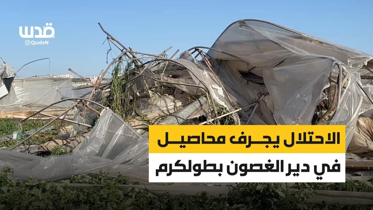 الاحتلال يجرف محاصيل في دير الغصون بطولكرم