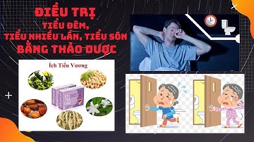 [Trực tiếp] Điều trị tiểu đêm, tiểu nhiều lần, tiểu són bằng thảo dược | Sức khỏe vàng VTC16