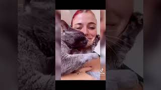 When you Kiss your Cat❤️❤️ by Cat Purrfections 31 views 2 years ago 1 minute, 8 seconds