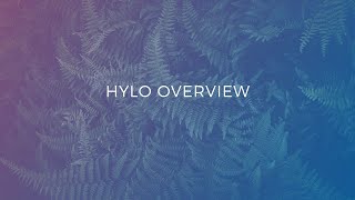 Hylo Redesign Overview