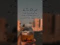 urdu poetry sad status 🥺🥺🥺🥀🥀🥀 #urdupoetry #urdushayari #mirzaghalib #viralshorts #youtubeshorts