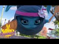 Cartoons For Children | SUNNY BUNNIES - DONUTS - NINJAS | Sunny Bunnies | Season 3