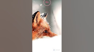 #viral #explorepage #likes #trending#youtube#gaming #fortnite #gamer #game #producer #youtuber