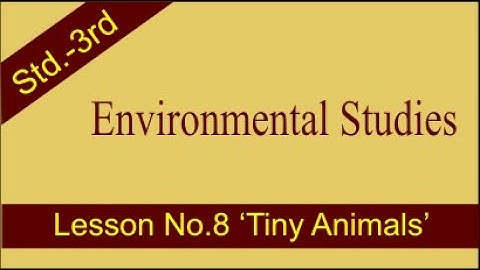 Environmental Studies | Std.-3rd | Lesson No.8 | Tiny Animals