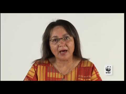 Patricia de Lille supports Earth Hour