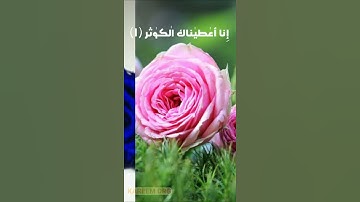 سورة الكوثر بصوت الشيخ عامر الكاظمي 😍❤مع ورود 🌹🌷⚘