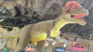 Museo de dinosaurios, lagartos y más.
