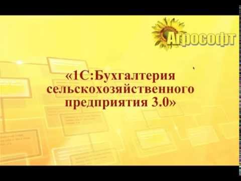 Практика организации учета с использованием "1С:Бухгалтерия сельскохозяйственного предприятия"