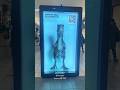 Velociraptor at Tacoma Mall/ Jurassic Mall. 3D AR Card collection #tacoma #velociraptor #jurassic