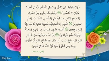 سورة البقرة من آية 154الي 158♥