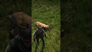 37 Simulate Great survival Skills, #shorts