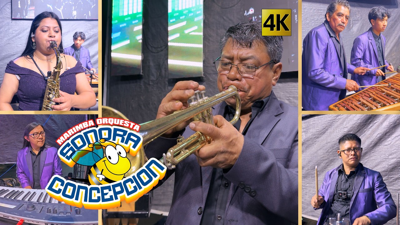 Marimba Orquesta Sonora Concepcion - Somos La Sonora Concepcion 4K