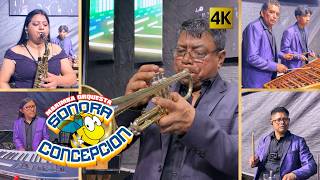 Marimba Orquesta Sonora Concepcion - Somos La Sonora Concepcion 4K