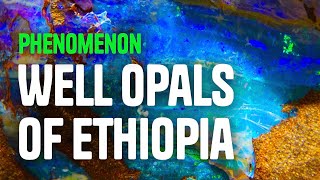 PHENOMENA - The Welo Opal of Ethiopia