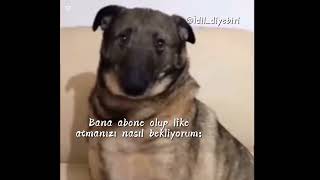 Kanepenin Köşesinde Sabahlıyorum Şfet