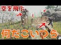 は?ついに空飛ぶ食人族現る【The Forest】#9