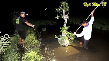 Câu Cá Rô Đồng, Săn Bắt Chuột Đêm Và Nồi Cháo Cá Lóc "Lãng Xẹt" 😂😂/NGÃ NĂM TV
