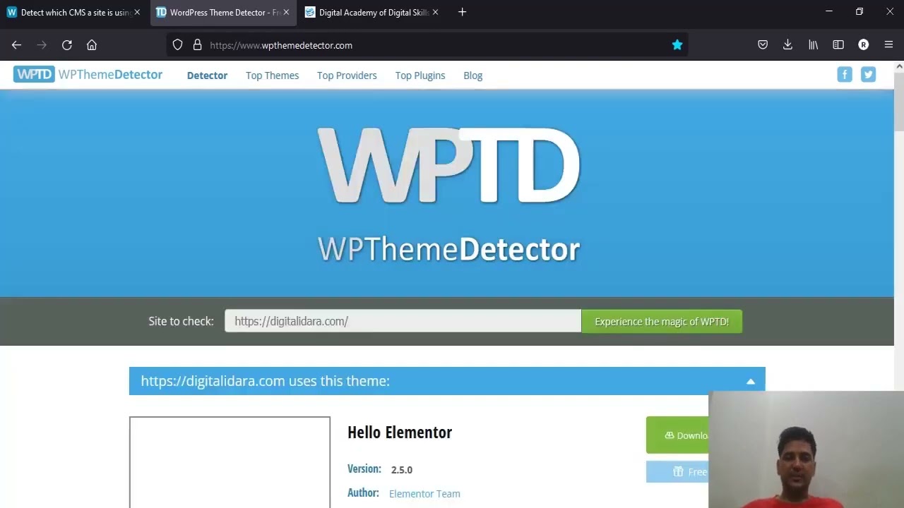 How to detect WordPress Theme and Website CMS?