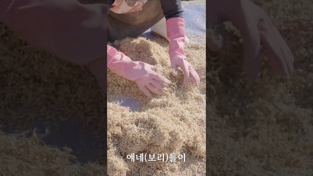 쌀과 보리로 만드는 이것은?? 