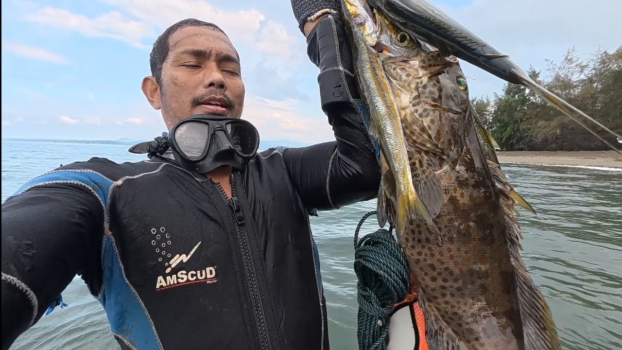 Nice fish spearfishing