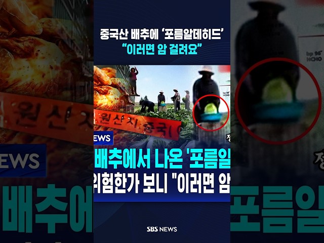 중국산 배추에 ‘포름알데히드’..“이러면 암 걸려요” #shorts