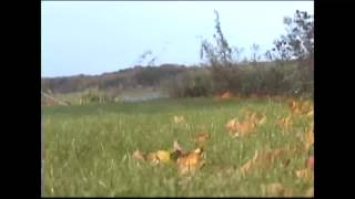 Travels Into Your Harmony 3