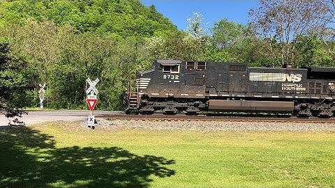 Horn Salute from NS 51X