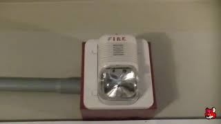 Notifier AFP-100 Test 12 (The Last Test)