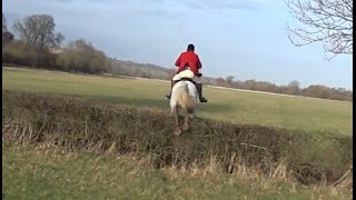 Alice & Defender Take On The Ledbury Hunt Murrells End Meet. 9Th January 2015