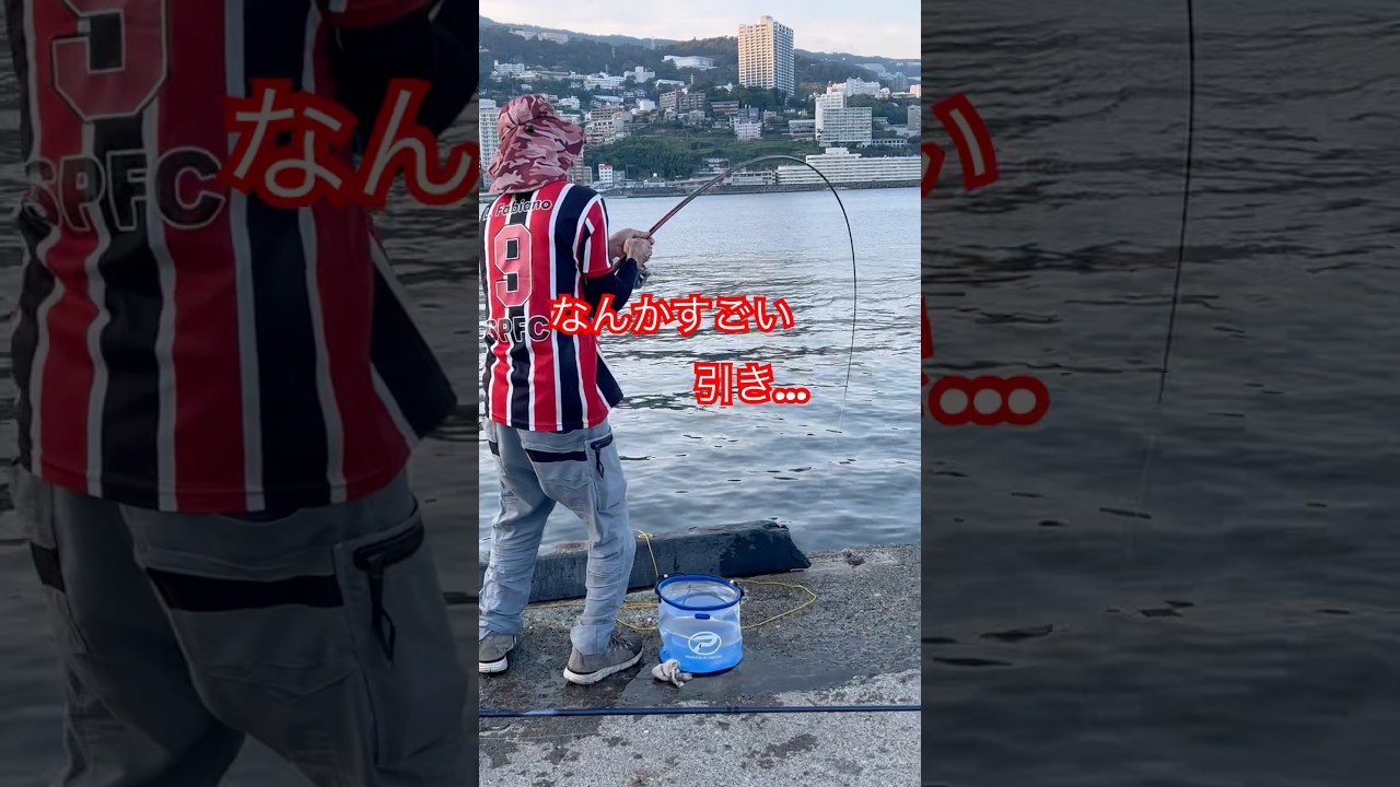 熱海 釣り 猛烈な引き!!#熱海#釣り#japan#海釣り#猫#大物#ダンゴ釣り#石鯛#メジナ#グレ#黒鯛#fishing #釣魚 #釣り好き