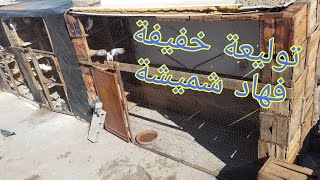 توليعة خفيفة فهاد شميشة ️ #حمام