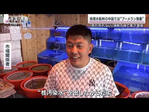 処理水批判の中国で“ブーメラン”魚売れず関係者悲鳴 日本は販路開拓で“脱中国”へ(2023年9月24日)