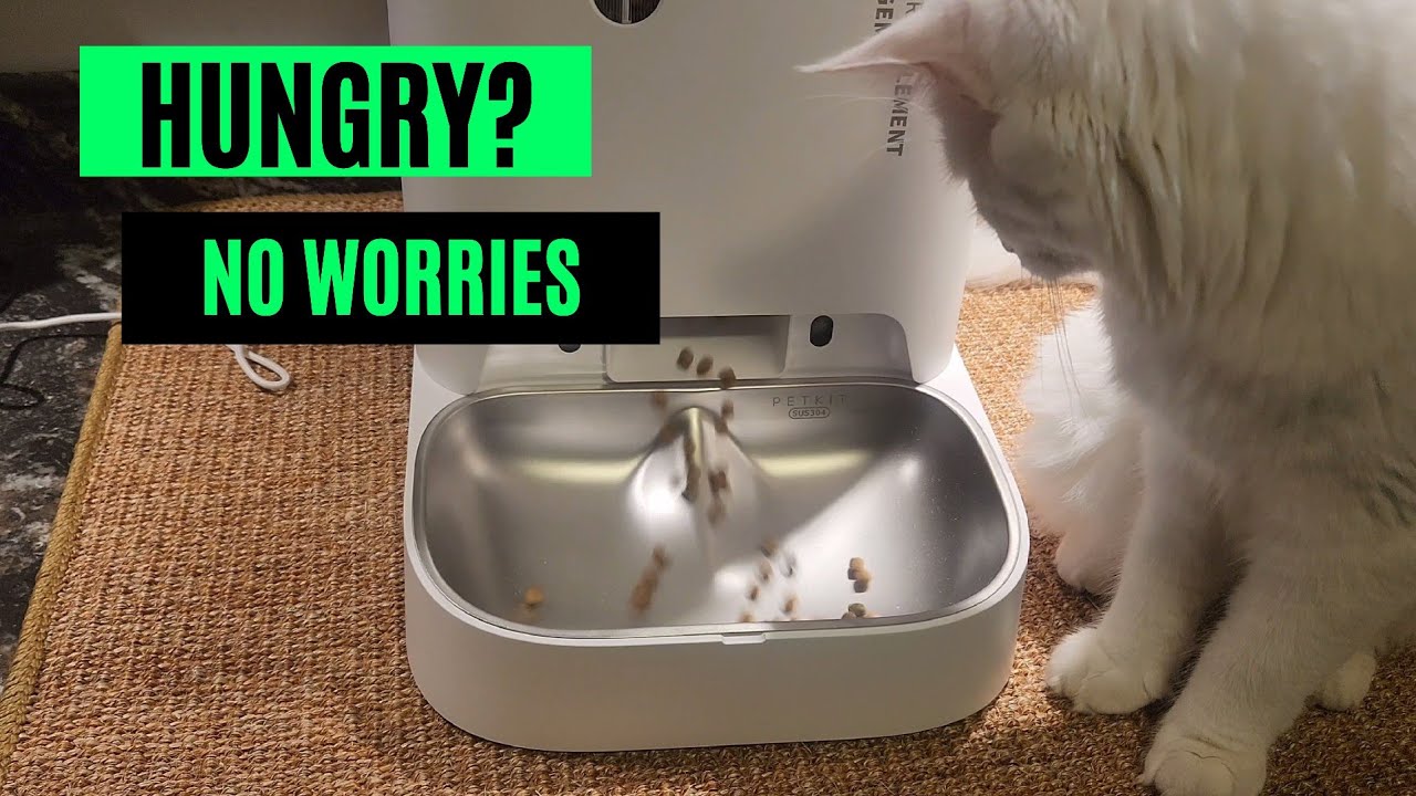 Unboxing, Setup & Review: Petkit Gemini 2 Hopper Automatic Pet Feeder ...