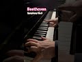 Beethoven Symphony No 5 In C Minor Beethoven 